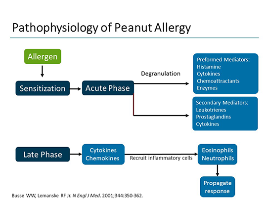 Advances In Peanut Allergen Immunotherapy: A Foundational View