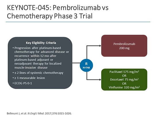 Essential Concepts In The Use Of Cancer Immunotherapies In Bladder ...