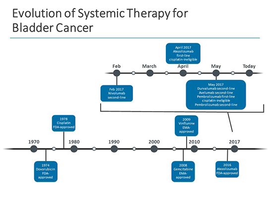 Essential Concepts In The Use Of Cancer Immunotherapies In Bladder ...