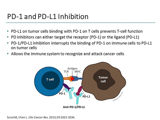 Emerging Considerations In Immune Checkpoint Inhibitors: Esophago ...