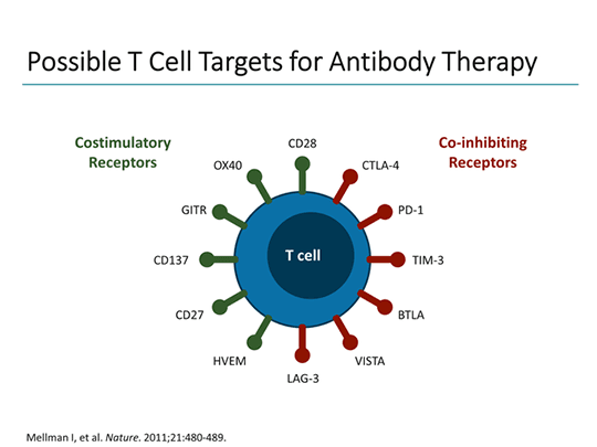 The Emerging Role of Immunotherapy in Hodgkin Lymphoma