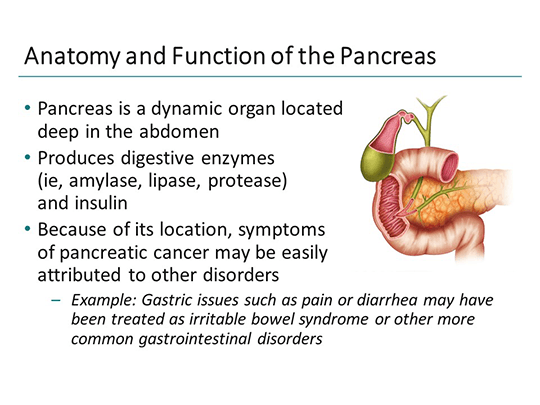 The Nurse View: Care of Patients With Advanced Pancreatic Adenocarcinoma