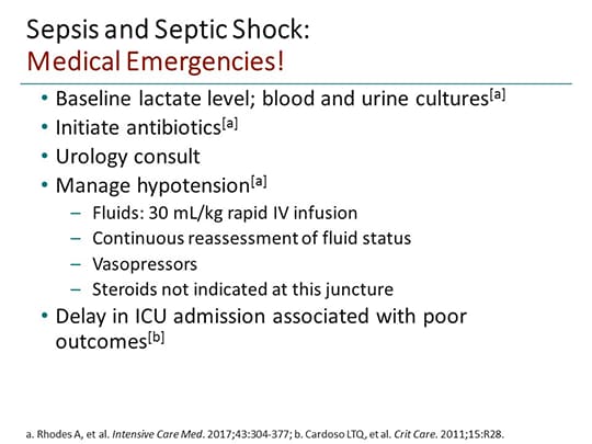 Best Practices in the Management of Vasodilatory Shock: A Call for ...