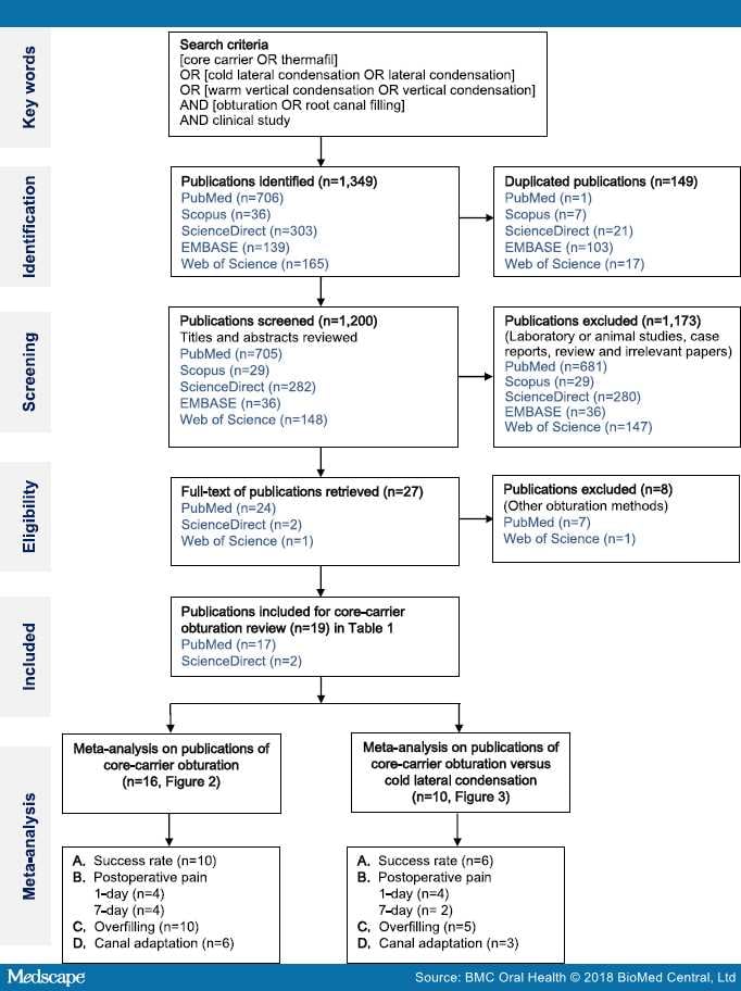 Clinical Studies on Core-carrier Obturation - Page 4