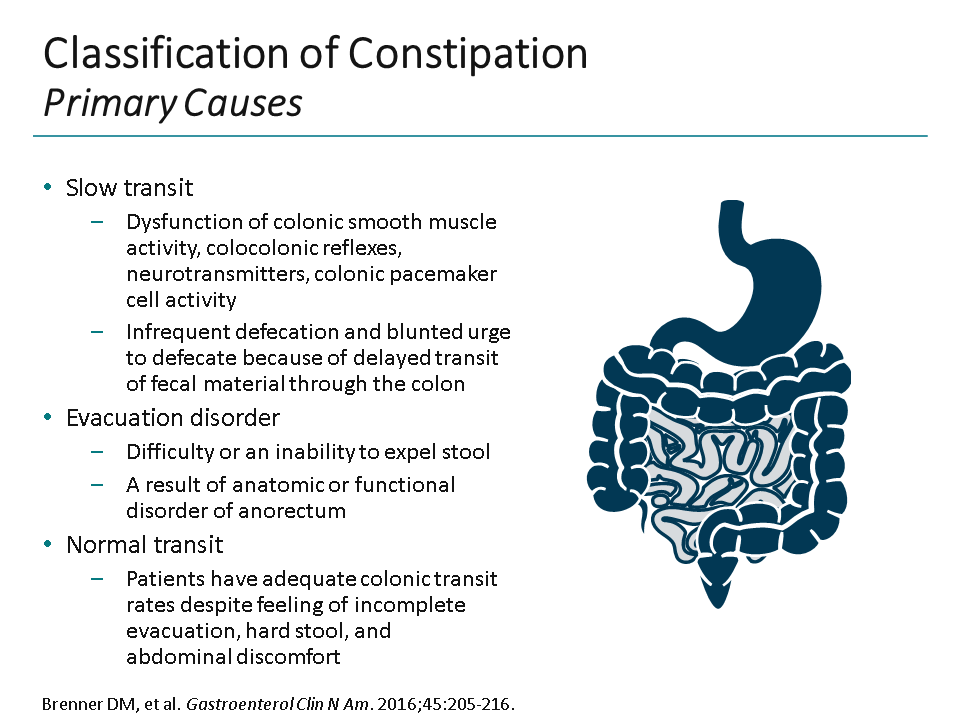 Battling Constipation: What Is The Evidence For Over-the-Counter ...