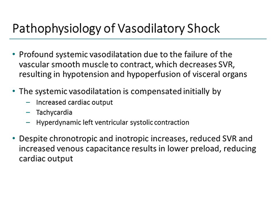 Angiotensin as a Vasopressor in VS: The Mechanism Behind the Third System