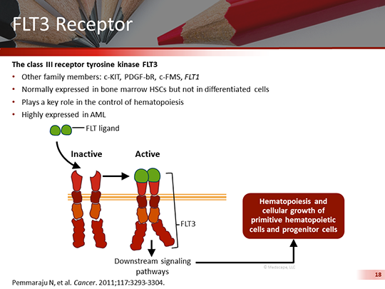 Taking a Personalized Approach to AML Treatment: FLT3 Inhibition ...