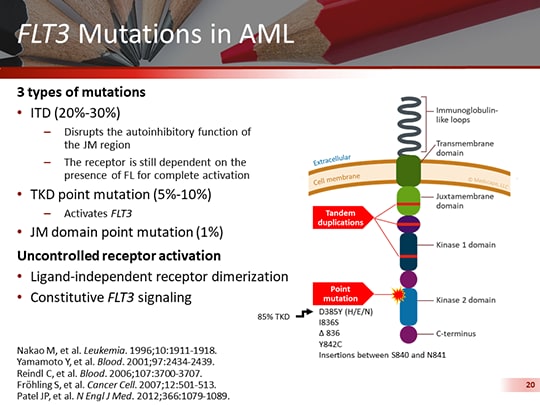 Taking A Personalized Approach To Aml Treatment Flt3 Inhibition Taking A Personalized Approach To Aml Treatment Flt3 Inhibition