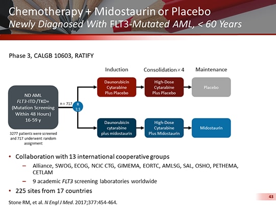 Taking a Personalized Approach to AML Treatment: FLT3 Inhibition ...