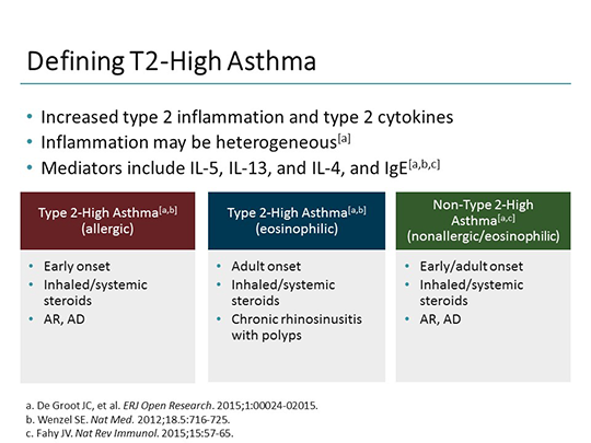 Addressing Disease Burden In Asthma: An Integrated View