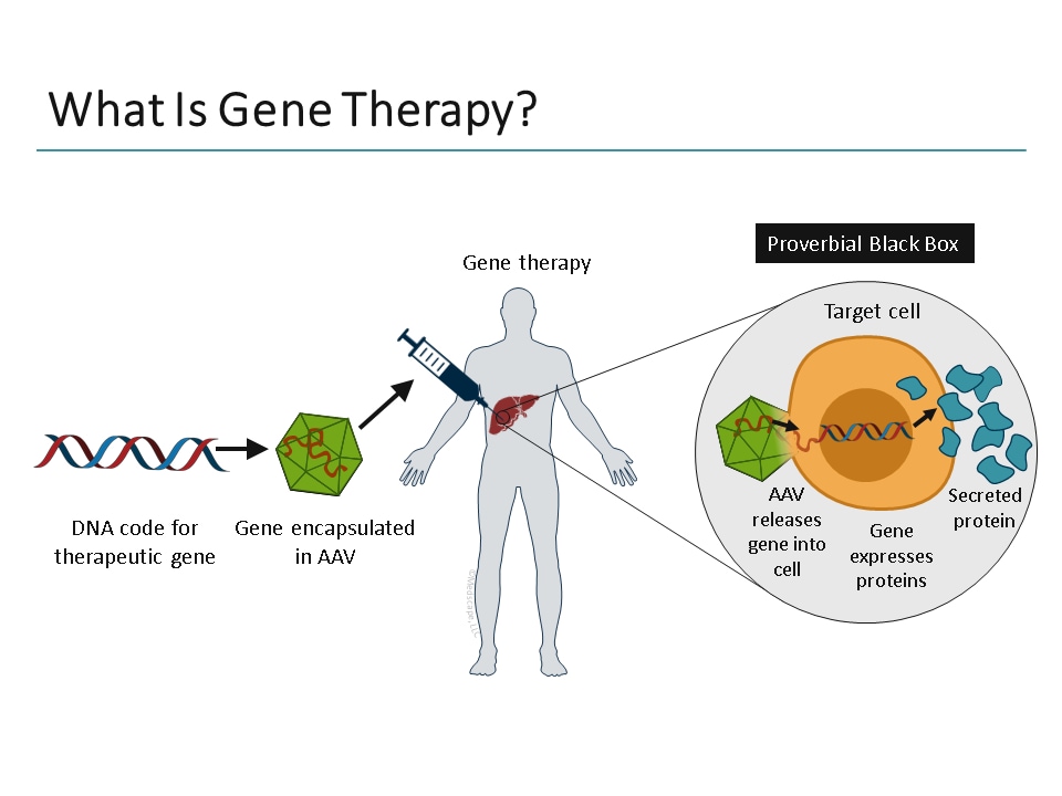 The Science Of Gene Therapy For Hemophilia