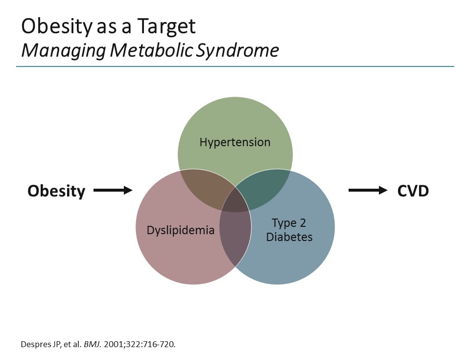 Slide 3.