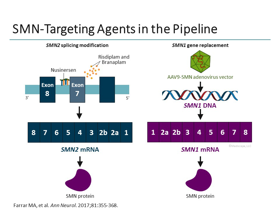 Best Practices in SMA: What New Data Are Telling Us (Transcript)