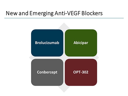 Developments In The Wet AMD Treatment Landscape: A Look Ahead (Transcript)