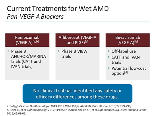 Developments In The Wet AMD Treatment Landscape: A Look Ahead (Transcript)