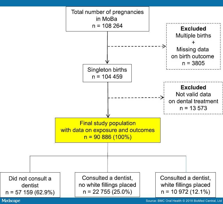 Safety of Polymerbased Dental Fillings During Pregnancy Page 3