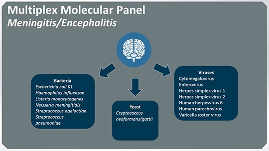 Meningitis And Encephalitis (Transcript)