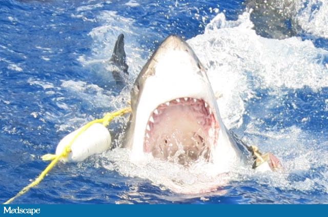 Swimming With Sharks: One Doctor's Passion