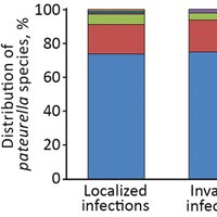 Human Pasteurellosis Health Risk For Elderly Persons Living With