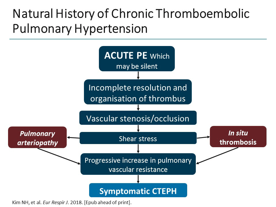 Pulmonary Hypertension Updates From 2018: Highlights and Implications ...
