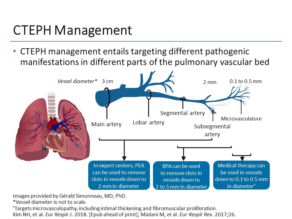 Pulmonary Hypertension Updates From 2018 Highlights and