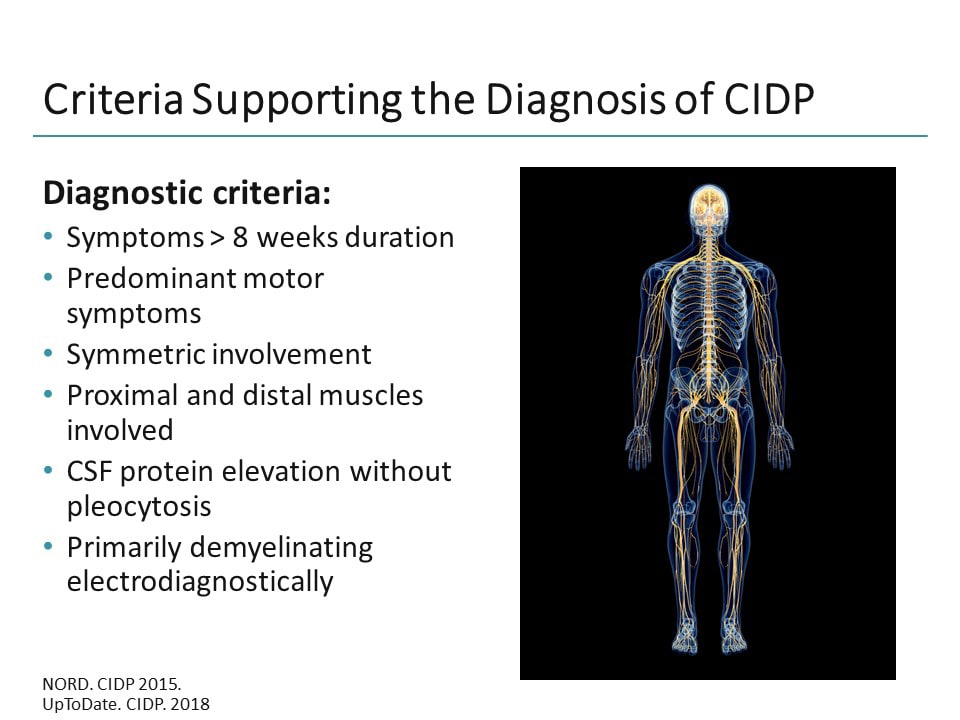 Expert Perspectives in the Clinical Management of CIDP (Transcript)