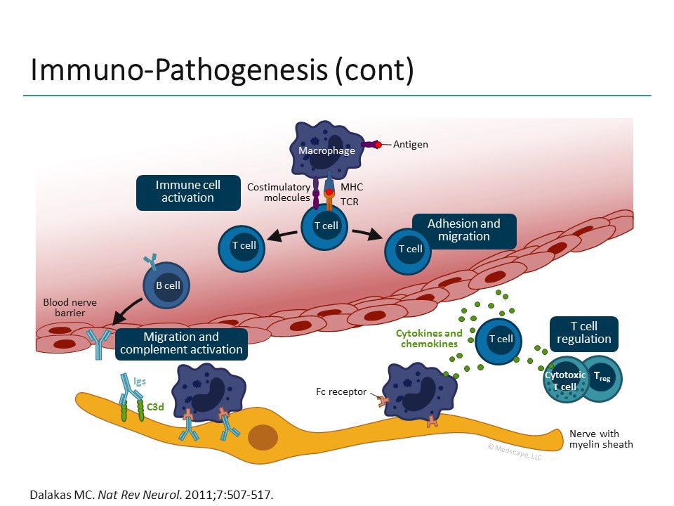 Expert Perspectives in the Clinical Management of CIDP (Transcript)