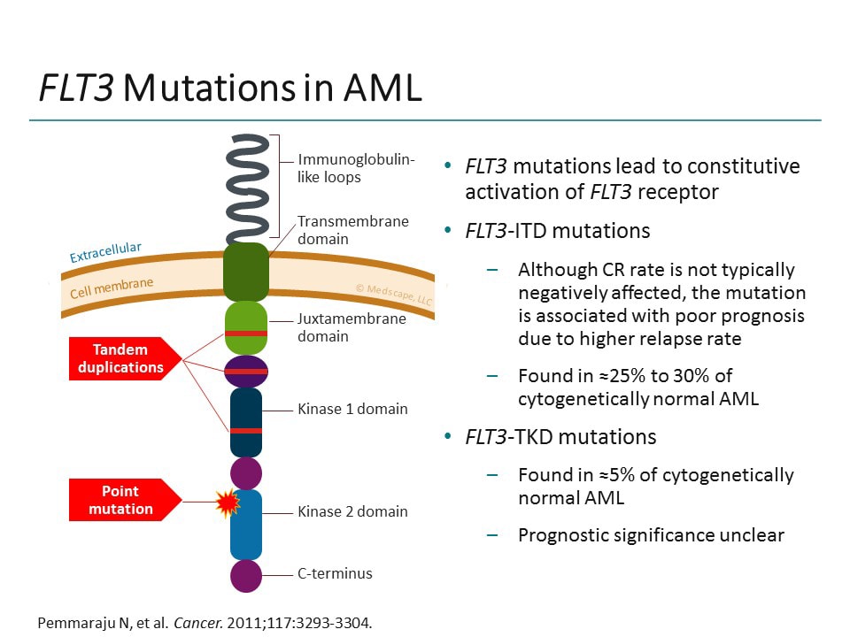 Relapsed/Refractory FLT3  AML: Challenges and New Directions (Transcript)
