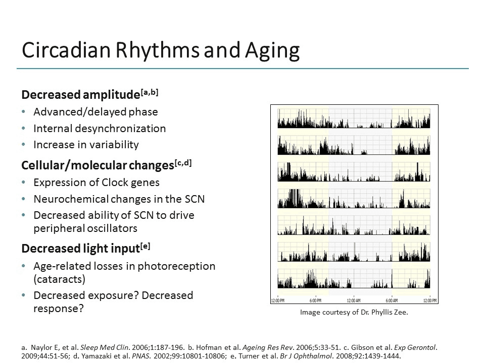 Understanding the Nature of Sleep and How it Changes With Age