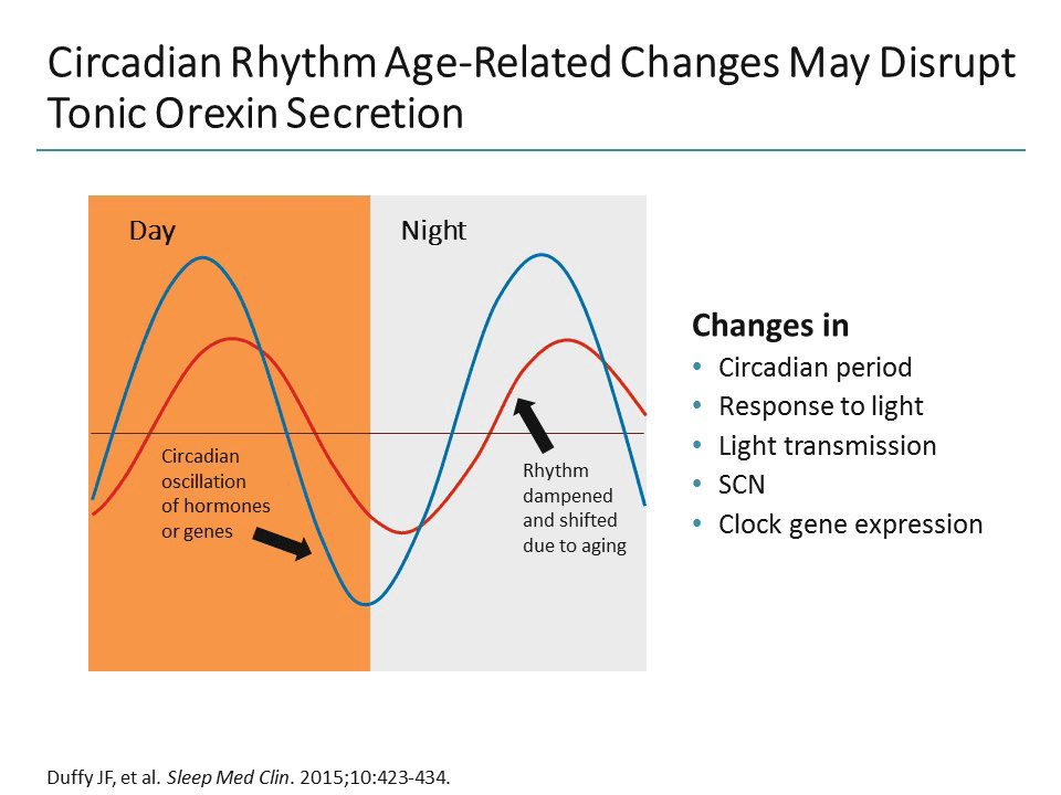 Understanding the Nature of Sleep and How it Changes With Age