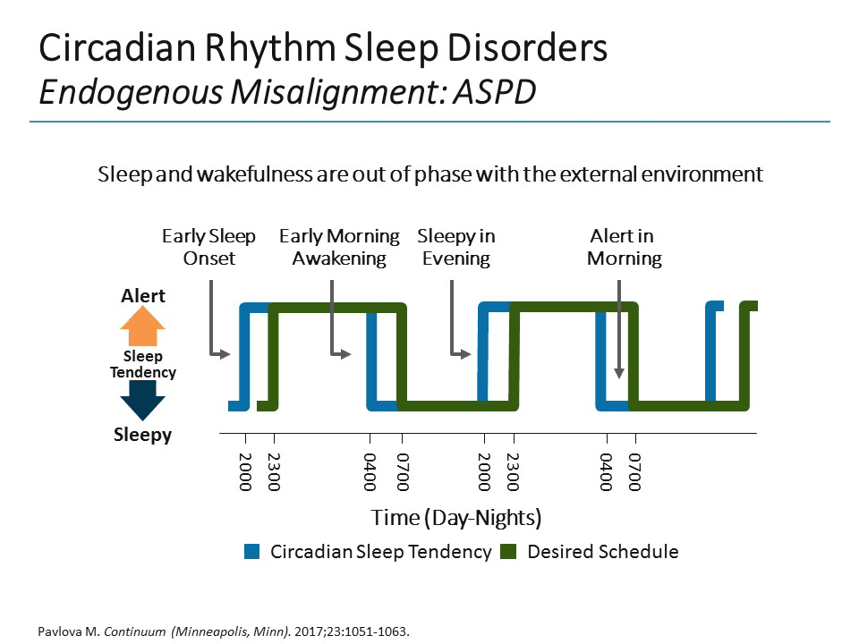 Sleep Asynchronous Understanding the Nature of Sleep and How it Changes With Age