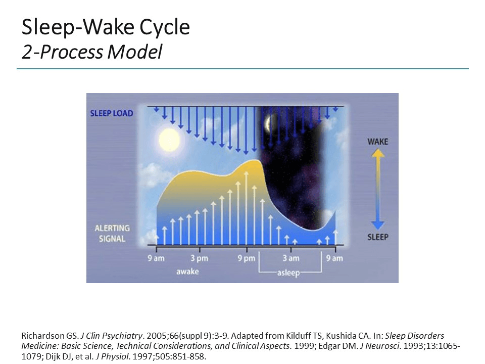 Understanding the Nature of Sleep and How it Changes With Age