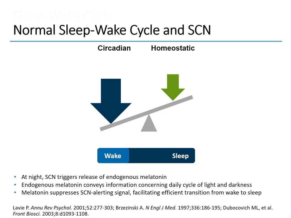 Understanding the Nature of Sleep and How it Changes With Age