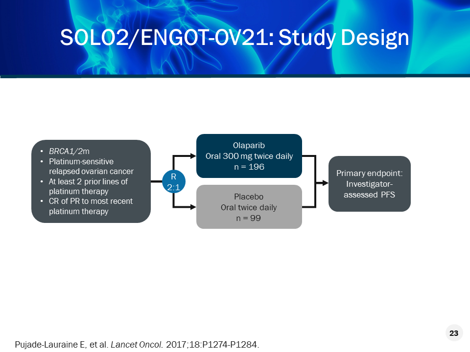 Slide 23.