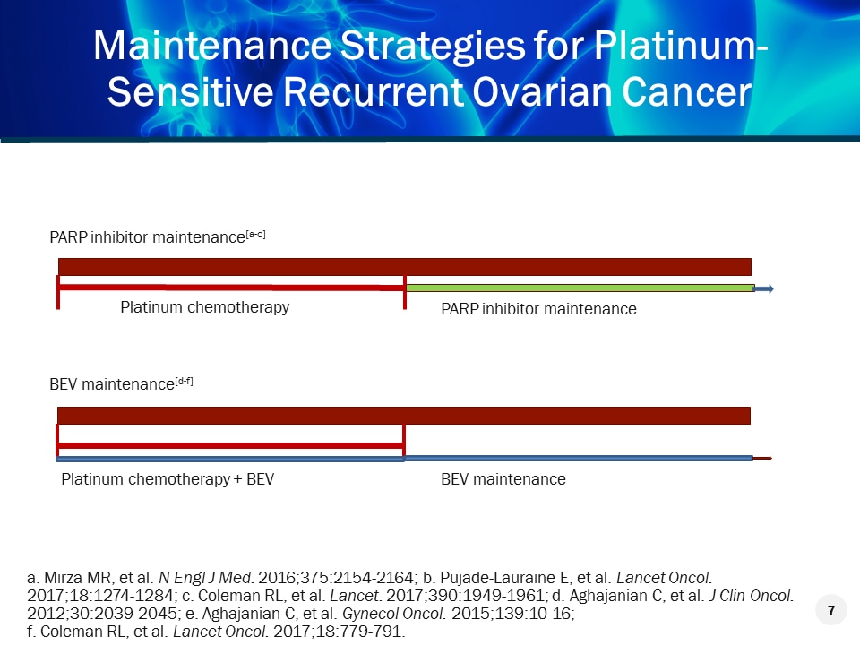 Slide 7.