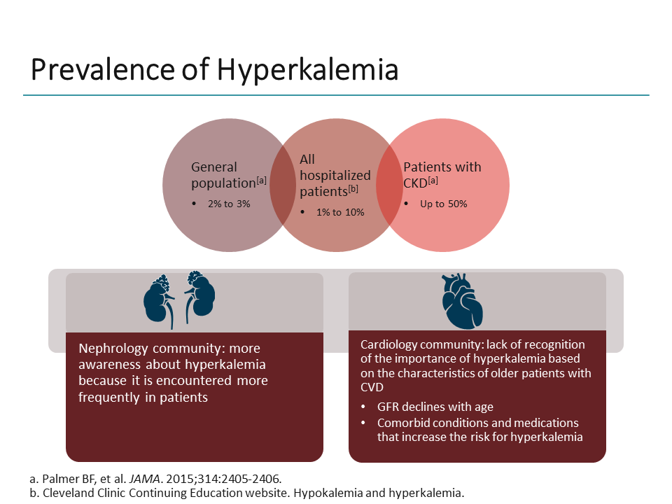 Breaking Down The Data In Hyperkalemia: Focus On Practice