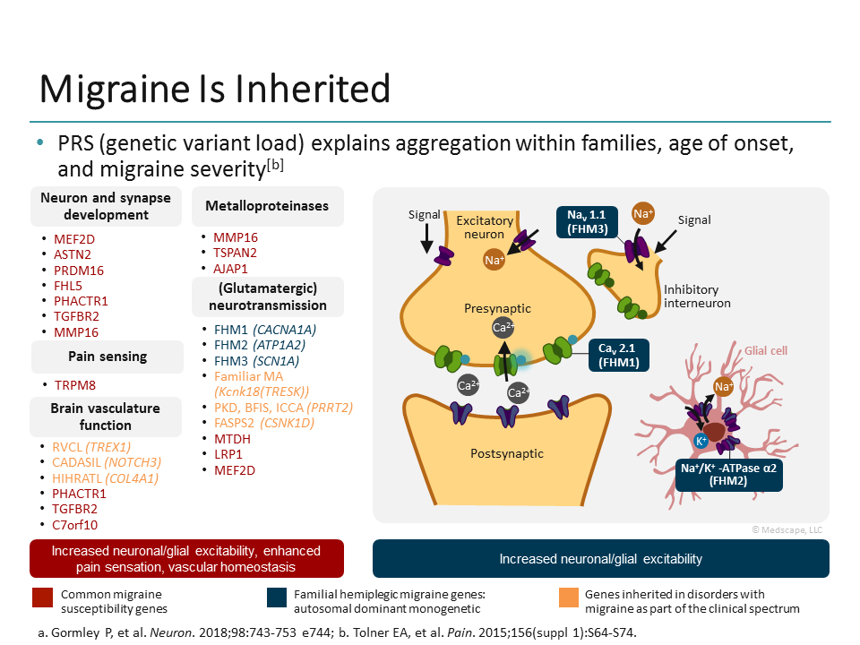 The Biologic Basis Of Migraine (Transcript)