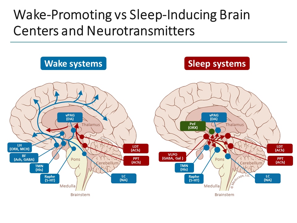 Rational Pharmacotherapy Selection for Insomnia: Balancing Efficacy and ...