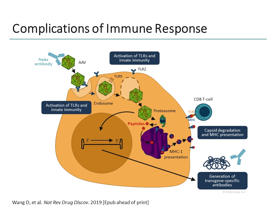 Exploring The Use Of Adeno-Associated Virus For Gene Therapy (Transcript)