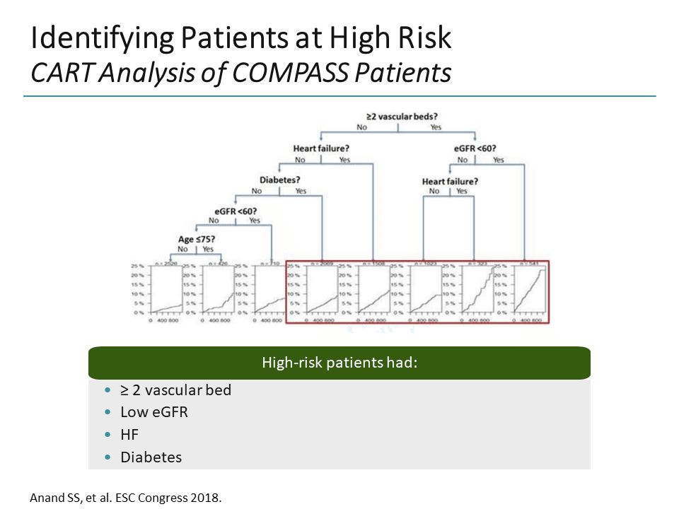 Reassessing Risk Stratification in CAD/PAD: How Do NOACs Fit In ...