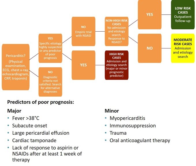 What Is New In Recurrent Pericarditis? Emerging Evidence And ...