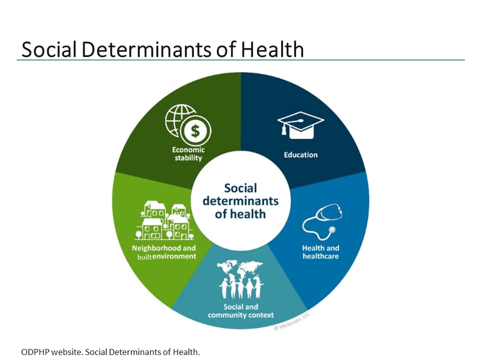 Treatment as Prevention