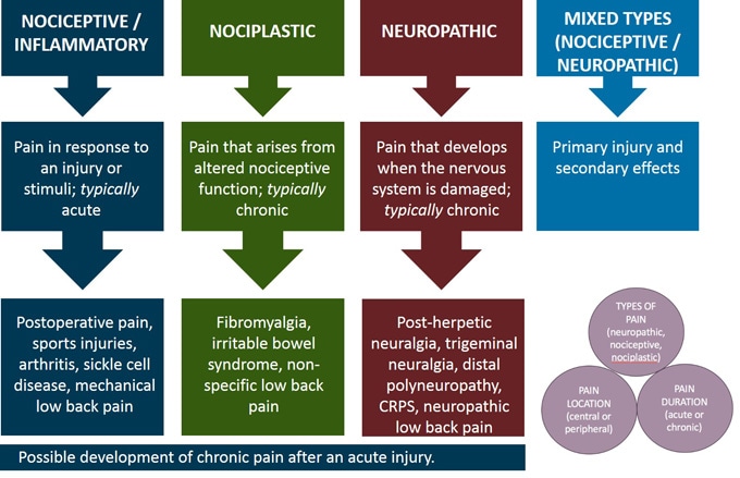 Pain Management And Opioids: Balancing Risks And Benefits