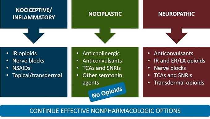 Pain Management And Opioids: Balancing Risks And Benefits