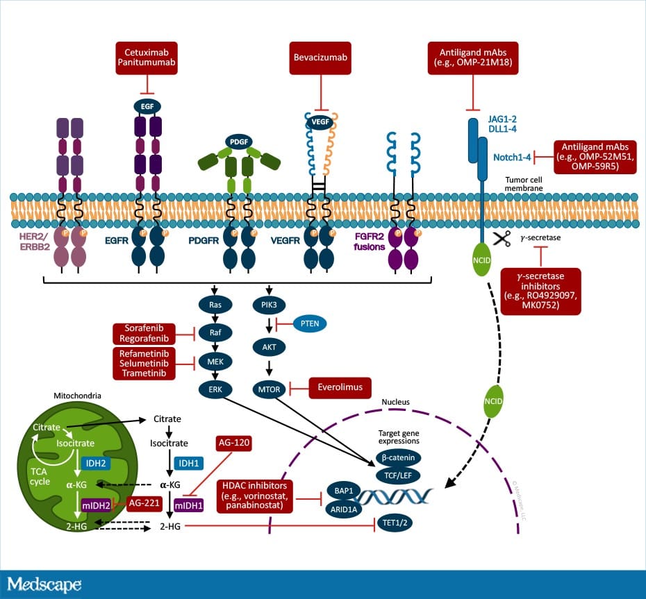 Updates on Treating Intrahepatic Cholangiocarcinoma