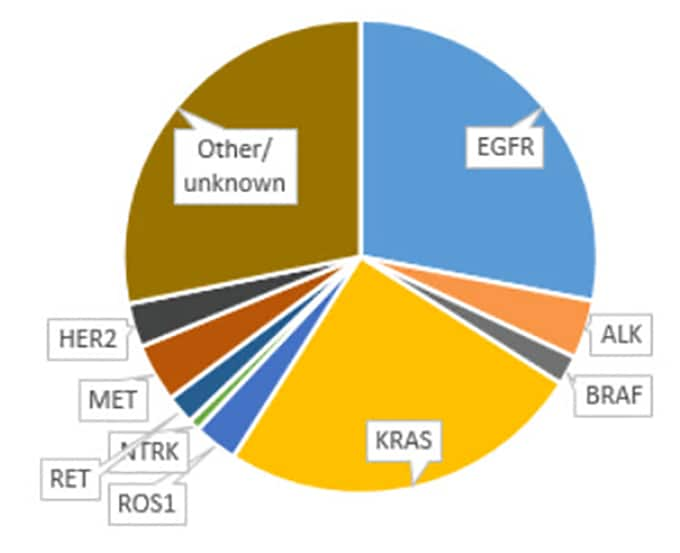 Advanced Nsclc An Update On Testing Targets And Treatments 4414