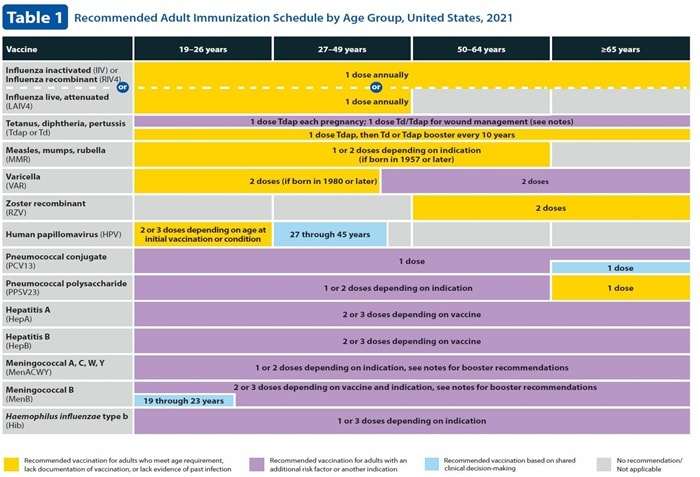 9 Key Changes: The 2021 Adult Immunization Schedules