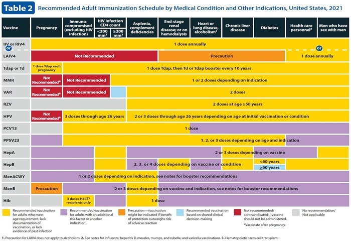 9 Key Changes The 2021 Adult Immunization Schedules   945339 Table2 