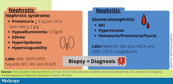 Nephrotic Vs Nephritic Syndrome How To Spot The Difference - kulturaupice