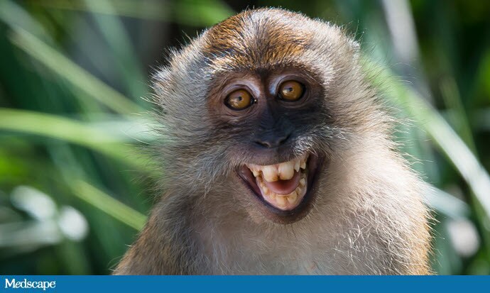 monkey human chimera monkey human chimera